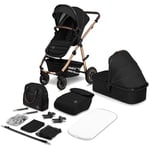 LIONELO Amber 2 in 1 poussette multifonctionnellle, landau, ensemble poussette avec siège sport et nacelle fixe, sac, moustiquaire, couvrir, feuille de pluie