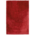 Tapis Épais 200 x 300 cm en Tissu Coton Rouge Doux au Toucher pour Chambre et S