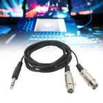 Stereo Sound Cable 3 Meter Dual Xlr Female To 6.35Mm 3 Pin Male Cable For Musica