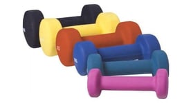 1 kg  2x0 5  a 10kg  2x5 0  halteres fitness en vinyle   poids   lot de 31 kg