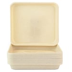 Home Garden Ornaments Set of 10 Square Plastic Plant Pot Saucers Extra Large Drip Trays Flower Indoor Outdoor Garden Planter Tray (29 cm x 29 cm, Beige)