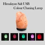 Himalayan Salt Lamp USB Crystal Pink Rock Salt Natural Colour Changing LED Blub