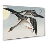 Geese In Flight By Ohara Koson Asian Japanese Canvas Wall Art Print Ready to Hang, Framed Picture for Living Room Bedroom Home Office Décor, 30x20 Inch (76x50 cm)