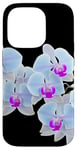 Coque pour iPhone 14 Pro Magnifique orchidée Phalaenopsis bleu clair Formes noires Mania