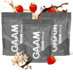 3 X Gaam Active Whey Proteinpulver 900 G