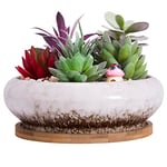 ARTKETTY Pot de Fleurs, Grand Pot de Succulentes de 15,5 Cm avec Drainage Pot Rond de Bonsaï et Plateau Pot en Céramique pour Plantes de Cactus