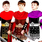 Roman Fighter Boys Fancy Dress Grecian Gladiator Book Week Kids Childs Costumes