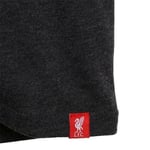 Liverpool FC Liverbird T Shirt Mens Charcoal SMALL Official Merchandise NEW UK