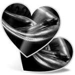 2 x Heart Stickers 15 cm - BW - Anaconda Snake #42988