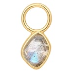 Ania Haie Örhänge Charm LABRADORITE EC048-07G