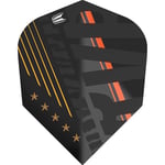 Target Darts Raymond Van Barneveld RVB 80% Pro Ultra No6 Dart Flights