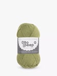 West Yorkshire Spinners Bo Peep Luxury Baby DK Yarn, 50g