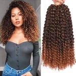 12Inch 6Bundles/Lot Passion Twist Hair Marlybob Crochet Braids Hair Kinky Curly