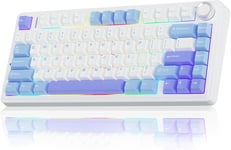 AULA F75 75% Wireless Mechanical Keyboard, [Blue & Purple] 2.4Ghz/Type-C/BT5.0