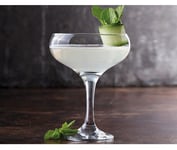 Cocktail Saucer Glasses  - Pack of 2 - 20cl