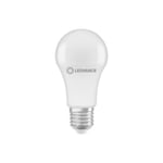 Ledvance LED lampa normal 4000K 1521lm E27 13W