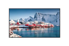 Panasonic TH-55SQE2W 55" Display