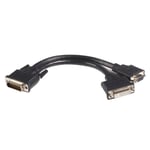 StarTech DMS 59 Splitter Cable - 8in - DMS 59 to 1 x DVI / 1 x VGA - Y Cable - DMS 59 to VGA - Monitor Splitter Cable - DMS 59 Cable (DMSDVIVGA1) -