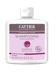 Cattier Shampooing Cheveux Secs Moelle de Bambou 250 ml Lot de 2