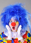 Womens Bright Blue Backcombed Clown Wig