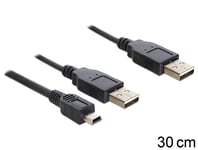 Delock USB-kabel - 30 cm