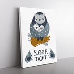 Sleep Tight Owl Typography Quote Canvas Wall Art Print Ready to Hang, Framed Picture for Living Room Bedroom Home Office Décor, 60x40 cm (24x16 Inch)