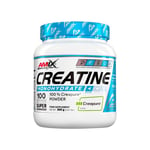 Amix - Creatine Monohydrate with Creapure® - 300 g