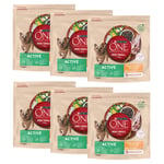 Purina One Mini Adult Active Kylling & Ris - 9 kg (6 x 1,5 kg)