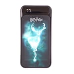 WONDEE Harry Potter Chargeur Portable, Batterie Externe 10.000mAh Harry Potter avec Lumière LED Effet Patronus - Powerbank Compatible avec Tous Les Smartphones, Iphone, Tablets, Ipad et Plus