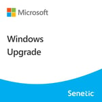 Windows 11 Pro N Upgrade