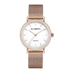 Basfur Dress Watch Fe-Montre-009-01