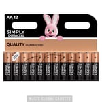 Duracell AA Long Lasting Power Alkaline Battery Economy Pack of 12 Batteries LR6