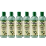 Africa's Best Olive Oil Shampoo Original 355ml x 6