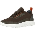 Baskets basses Geox  Baskets Spherica homme  Ref 59983 Vert