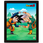 Dragon ball z cadre 3D lenticulaire fusion Pyramid 64DRA082