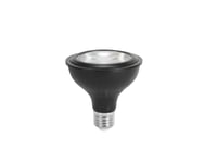 PAR-30 230V COB 12W E-27 LED 1800k-3000k dim2warm