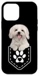 Coque pour iPhone 12 mini Chiot Shih Tzu dans une poche – Shih Tzu de poche pour garçons et filles