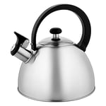 FLORINA - Bouilloire Inox (2,5 l) I Bouilloire Sifflante BRILLO I Poignée Résistante à la Chaleur I Bouilloire non Electrique I Bouilloire Induction, Gaz I Pour Thé et Café I Couleur: Argent