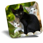 Awesome Fridge Magnet - Cute Kittens Black Tabby Ginger Cat Cool Gift #24573