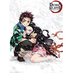 ABYSTYLE - DEMON SLAYER - Poster Tanjiro & Nezuko Neige (52x38)