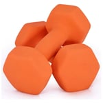 Shengluu Weights Dumbbells Sets Women Home Fitness Arm Hand Weights Pilates Dumbbells Set (Color : Orange, Size : 3KGx2)