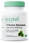 Osavi - Tribulus Terrestris, Saponins, 200 mg - 120 vcaps