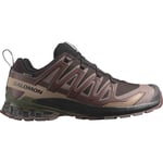 Salomon Salomon Men's XA Pro 3D V9 GORE-TEX Black Coffee/Rum Raisin/Olive Night 40, Black Coffee / Rum Raisin / Olive Night