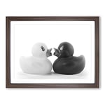 Rubber Ducks Opposites Attract Modern Framed Wall Art Print, Ready to Hang Picture for Living Room Bedroom Home Office Décor, Walnut A3 (46 x 34 cm)