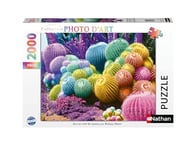 Nathan-Puzzle Adulte - Puzzle 2000 pièces - Arc-en-Ciel de Cactus - Adultes et Enfants dès 14 Ans - Puzzle de qualité supérieure - Encastrement Parfait-Collection Photo d'art -12001142