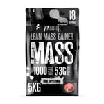 Warrior Mass Gainer 5kg - Optimum Protein Powder for Serious Gain - Strawberry