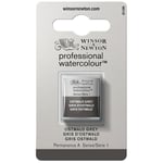 Winsor & Newton 0101428 Professional Watercolour - Ostwald Grey, 1/2 Nap, Watercolour Paint, Vibrant Colours in Artist Quality, High Colour Shine and Clarity, Lightfast