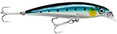 Rapala - Leurre de Pêche X-Rap Saltwater - Matériel de Pêche pour les Gros Prédateurs - Leurre Pêche Mer Tout Poisson - Profondeur de Nage 1.2-2.4m - 14 cm/43g - Blue Sardine