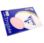 Clairefontaine Lot de 10 Ramettes 50 Feuilles Papier 160g A4 210x297 mm Certifié FSCrose