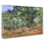 The Bodmer Oak Tree By Claude Monet Classic Painting Canvas Wall Art Print Ready to Hang, Framed Picture for Living Room Bedroom Home Office Décor, 20x14 Inch (50x35 cm)